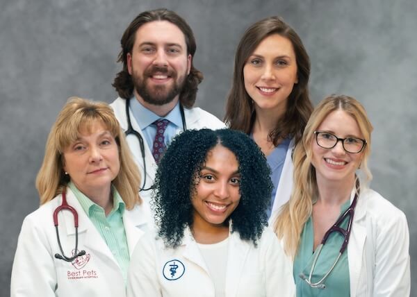 Veterinarians Best Pets VH Veterinarians Best Pets VH