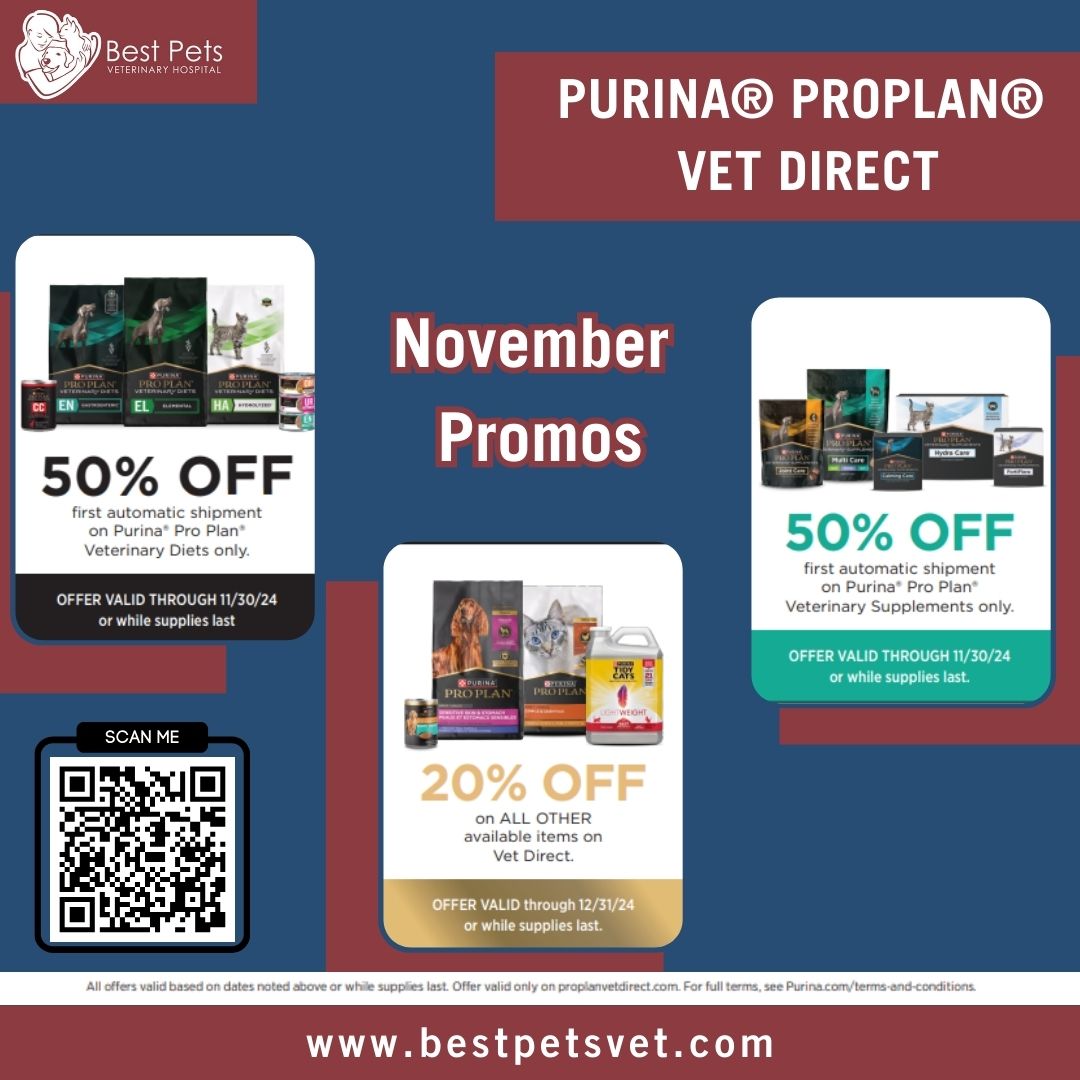 Best Pets November Promotions