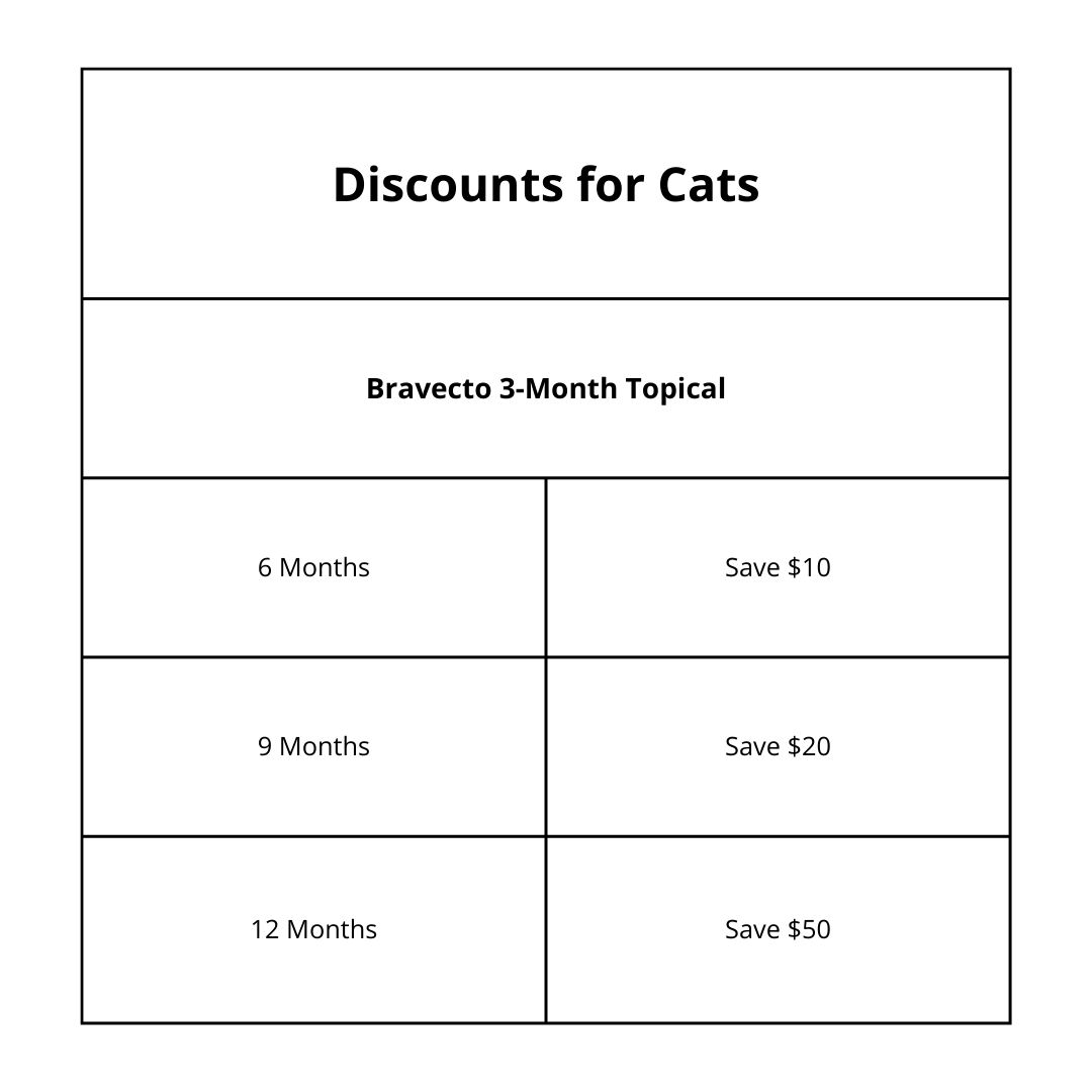 Savings On Bravecto for Cats in Tewksbury MA
